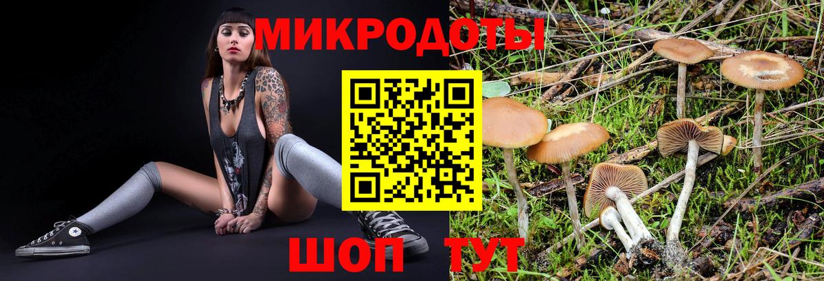 наркотики  Вход с VPN  Вичуга  Псилоцибиновые грибы ЛСД 